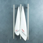 HEATED TOWEL RAIL RADIANT VERTICAL - Image 4