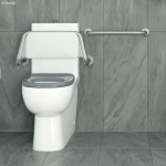 GRAB RAIL, CARE ACCESSIBLE  450MM - Image 3