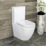 ALIX BACK TO WALL TOILET SUITE - Image 3