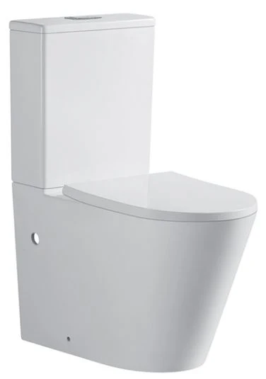 Jamie_1_376x535 JAMIE Rimless Wall Faced Toilet Suite - Image 1